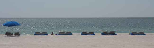 Florida 2010s